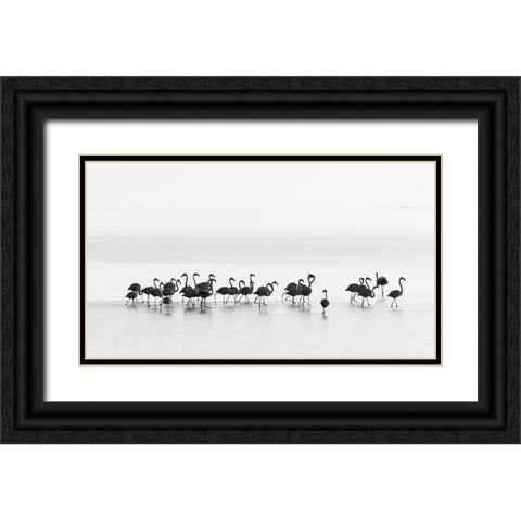 Flamingos Black Ornate Wood Framed Art Print with Double Matting by Gil Raga, Joan