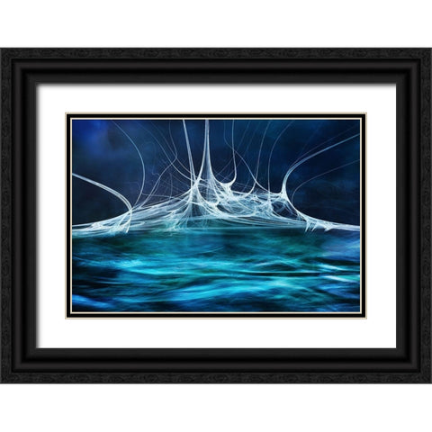 Alien Waters No2 Black Ornate Wood Framed Art Print with Double Matting by Marthinussen, Willy