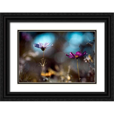 Le Lien Black Ornate Wood Framed Art Print with Double Matting by Bravin, Fabien