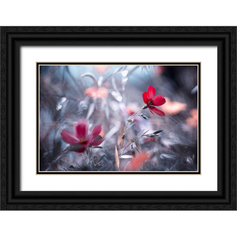 Une Fleur-Une Histoire Black Ornate Wood Framed Art Print with Double Matting by Bravin, Fabien