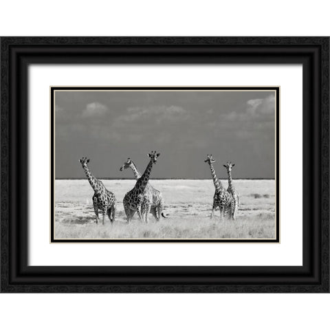 Look Girl Strange Animals Black Ornate Wood Framed Art Print with Double Matting by Guillemot, Mathilde
