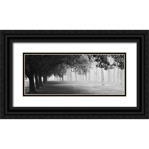 Morning Fog Black Ornate Wood Framed Art Print with Double Matting by Chiarello, Matteo