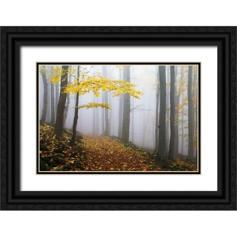 Untitled Black Ornate Wood Framed Art Print with Double Matting by Rak, Martin