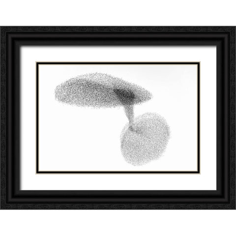 Starlings Dance Black Ornate Wood Framed Art Print with Double Matting by Gil Raga, Joan