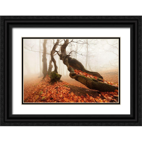 Age... Black Ornate Wood Framed Art Print with Double Matting by Rericha, Daniel