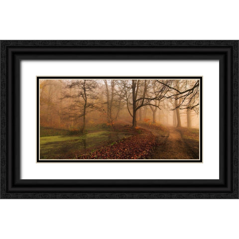 Which Path Ii Black Ornate Wood Framed Art Print with Double Matting by Londal, Leif