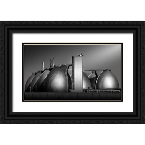 Eggs Black Ornate Wood Framed Art Print with Double Matting by Rauwerdink, Jan