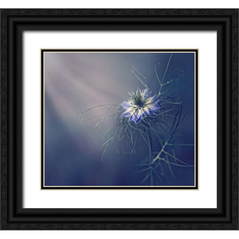 ....* Black Ornate Wood Framed Art Print with Double Matting by Lazarov, Dimitar