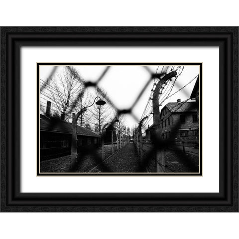 Behind The Fences - Auschwitz I Black Ornate Wood Framed Art Print with Double Matting by Palacios Prieto, Javier