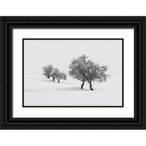White Carpet Ii Black Ornate Wood Framed Art Print with Double Matting by Carrillo Lopez, Antonio