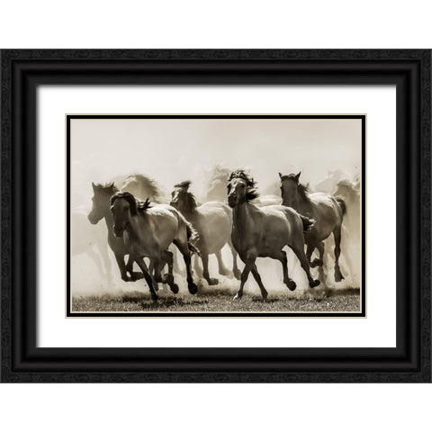 Horse Black Ornate Wood Framed Art Print with Double Matting by Bartsch, Heidi