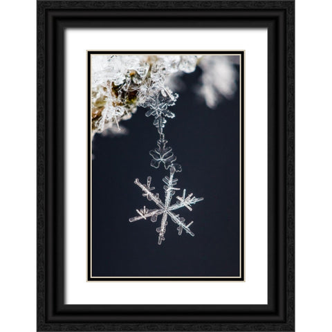 Pendant Black Ornate Wood Framed Art Print with Double Matting by Ritoniemi, Sami