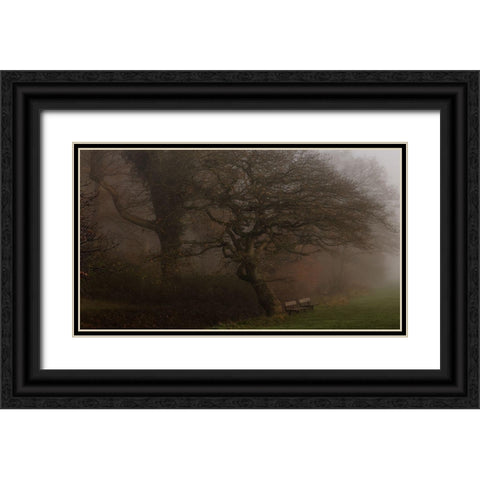 If The Tree Could Talk Black Ornate Wood Framed Art Print with Double Matting by Londal, Leif