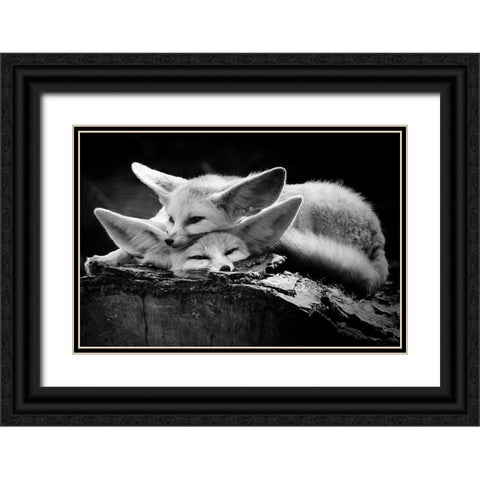 The Happy Couple Black Ornate Wood Framed Art Print with Double Matting by Ross Rossi, Ib