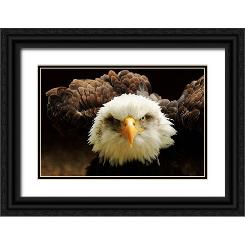 The Judge Black Ornate Wood Framed Art Print with Double Matting by Kirwan, Tim