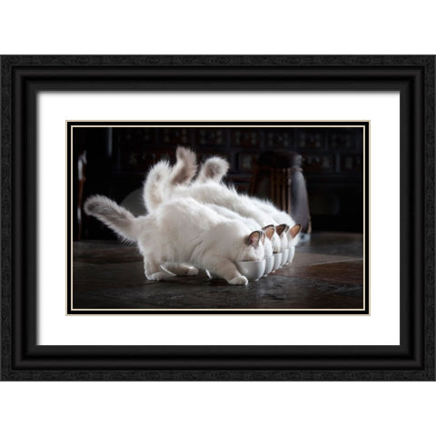 Let There Be Milk Black Ornate Wood Framed Art Print with Double Matting by Lehto, Timo