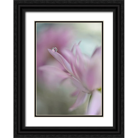 In Pink Delight Black Ornate Wood Framed Art Print with Double Matting by Westum, Heidi