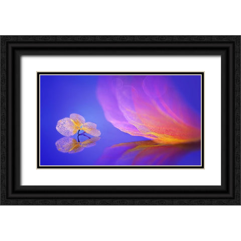 Dream Black Ornate Wood Framed Art Print with Double Matting by Pan, Sophie