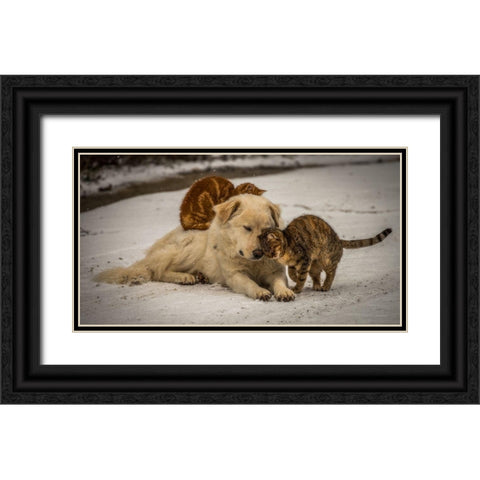 Sweet Effusions Black Ornate Wood Framed Art Print with Double Matting by Lucidi, Riccardo