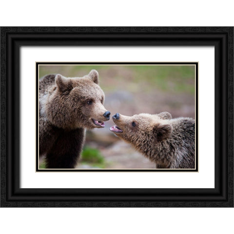 Close Contact Black Ornate Wood Framed Art Print with Double Matting by Eriksson, Robin