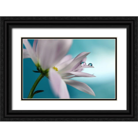 In Turquoise Company Black Ornate Wood Framed Art Print with Double Matting by Westum, Heidi