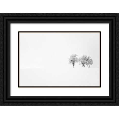 Tree And Silence Black Ornate Wood Framed Art Print with Double Matting by Bajrich, Amir