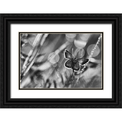 ...After The Rain... Black Ornate Wood Framed Art Print with Double Matting by Gerec, Pali