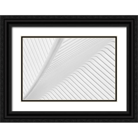 Canopy. Black Ornate Wood Framed Art Print with Double Matting by Van Son, Greetje