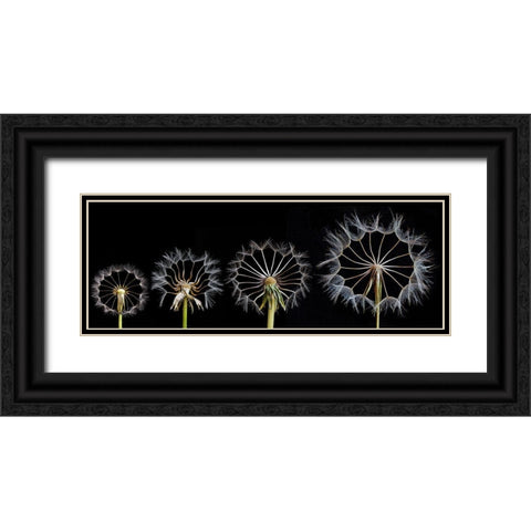 Family Portrait Black Ornate Wood Framed Art Print with Double Matting by Lionse, Art