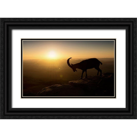 Desert Wanderer Black Ornate Wood Framed Art Print with Double Matting by Jonas, Nadav
