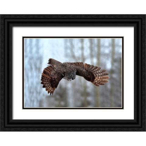 Soaring Black Ornate Wood Framed Art Print with Double Matting by Stahl, Peter
