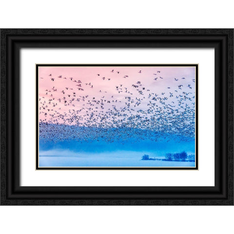 Flying In The Fogging Morning Black Ornate Wood Framed Art Print with Double Matting by Li, Rob