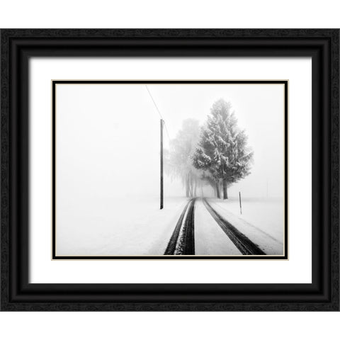 White Tree Gate Black Ornate Wood Framed Art Print with Double Matting by Bogner, Franz