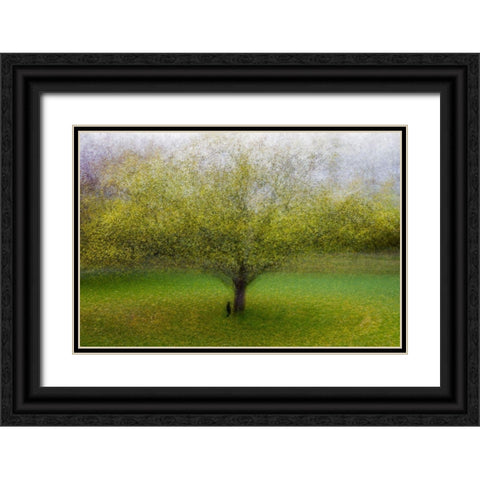 The Cat By The Tree Black Ornate Wood Framed Art Print with Double Matting by Ostlund, Arne