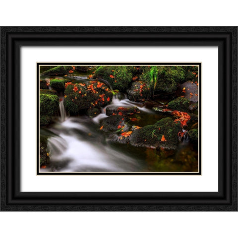 Autumn Melodies Black Ornate Wood Framed Art Print with Double Matting by Pancareken, Yavuz