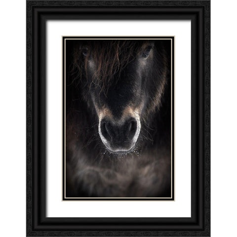 Ulysses Black Ornate Wood Framed Art Print with Double Matting by Ri, P