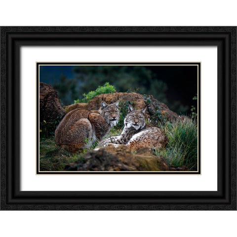 Moonschein Lovers Black Ornate Wood Framed Art Print with Double Matting by Barbieri, Gianfranco