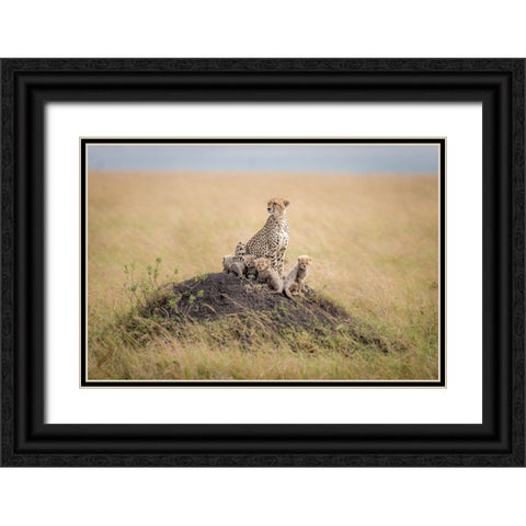Regal Protector Black Ornate Wood Framed Art Print with Double Matting by Taylor, Ted