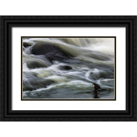 Flowing Contemplation Black Ornate Wood Framed Art Print with Double Matting by Ostlund, Arne