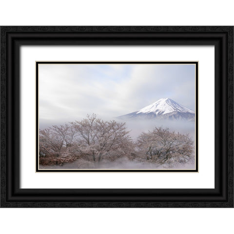 Mt.Fuji In Spring Black Ornate Wood Framed Art Print with Double Matting by Iga, Ikuo