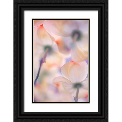 Under The Skirts Of Flowers Black Ornate Wood Framed Art Print with Double Matting by Casanova, Francois