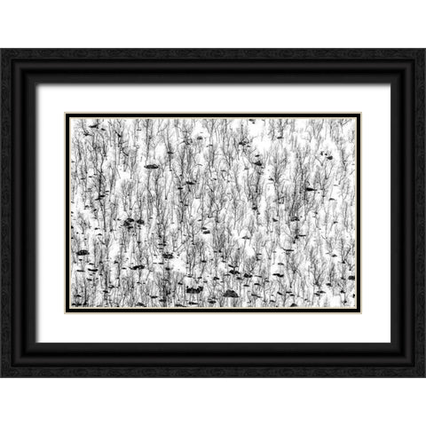 Little Trees Black Ornate Wood Framed Art Print with Double Matting by Ghesquiere, Hilde