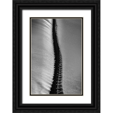Scorpio Rising Black Ornate Wood Framed Art Print with Double Matting by Abrantes, Paulo