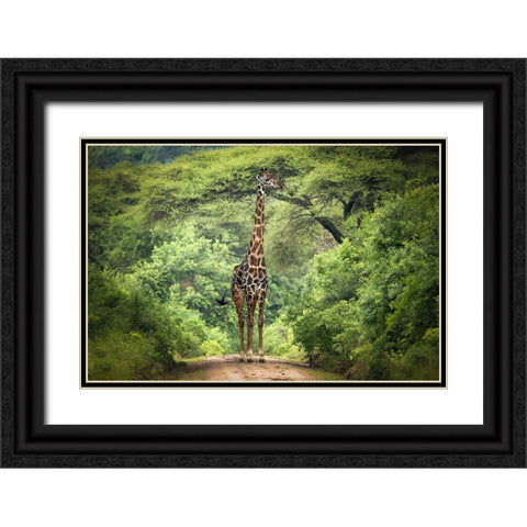 Unexpected Meeting Black Ornate Wood Framed Art Print with Double Matting by Trubitsyn, Kirill