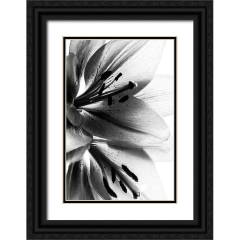 Lily Black Ornate Wood Framed Art Print with Double Matting by Koenig, Andre