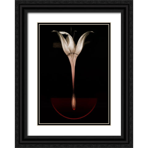 Floating Lily Black Ornate Wood Framed Art Print with Double Matting by Lilja, Johan