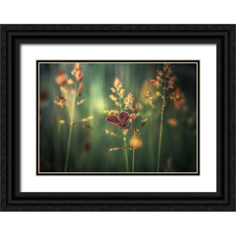 Last Light Black Ornate Wood Framed Art Print with Double Matting by Vinogradof, Florentin