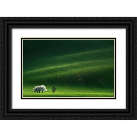 Ladies In White Black Ornate Wood Framed Art Print with Double Matting by Sokolovsky, Vlad