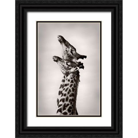 True Love Black Ornate Wood Framed Art Print with Double Matting by WildPhotoArt