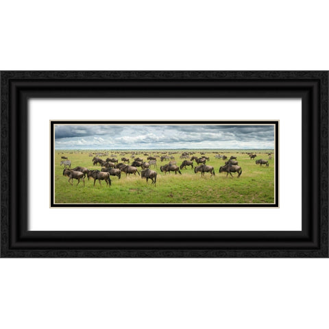Great Migration In Serengeti Plains Black Ornate Wood Framed Art Print with Double Matting by Trubitsyn, Kirill